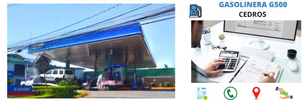 facturación gasolinera cedros